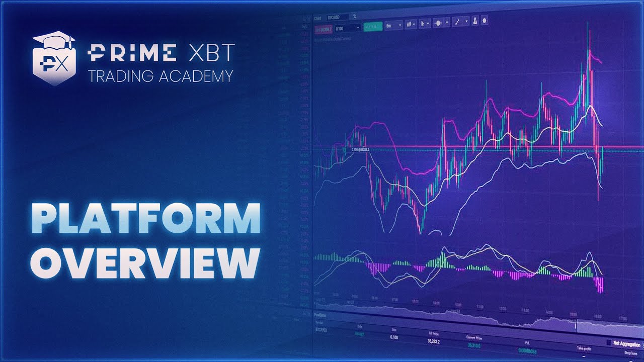 Bull Spike Trading Signals Tutorial 1: Platform Overview